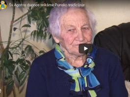 Plaukė žąselė per ežerėlį