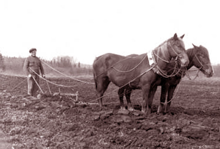 Kap nepalis, bus bėda