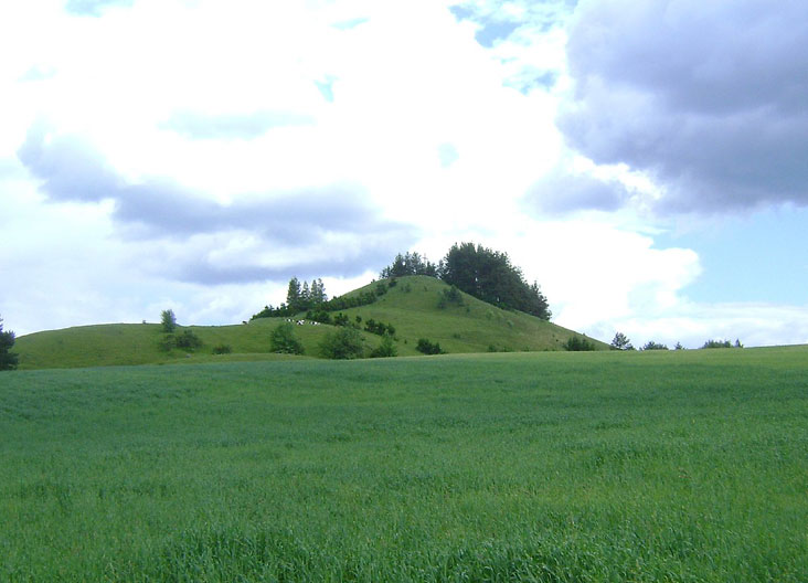 Jurgita Stankauskaitė. Po kepure