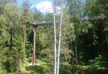 Iš bokšto matyti toliau: Medžių lajų takas ir apžvalgos bokštas