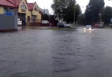 Liūtis Suvalkuose
