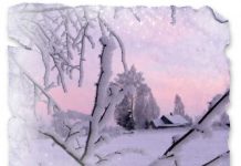 Kalėdinis sveikinimas