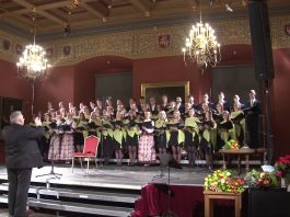 „Pašešupių“ pasirodymas Valdovų rūmuose (1 d.)