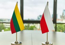 A. Lapinskas. Lenkijos užsienio reikalų ministras Vilniuje vėl trenkė antausį Lietuvai