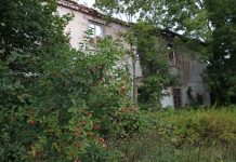 Kelionė po Sūduvos dvarus. Žemosios Panemunės dvaras