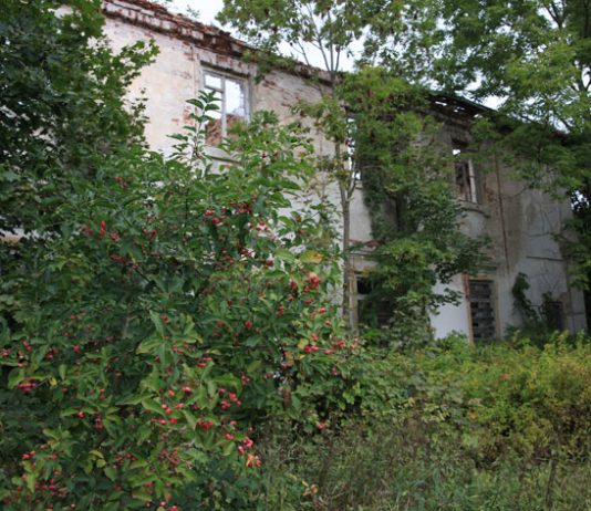 Kelionė po Sūduvos dvarus. Žemosios Panemunės dvaras