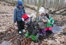 „Gilus kontaktas su gamta…“. Darbo darželyje specifika