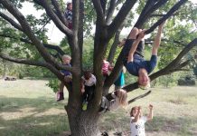 „Gilus kontaktas su gamta …“. Vaikų ugdymas lauko darželyje