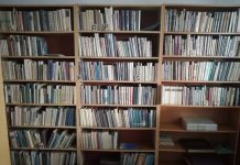 PLB kultūros komisija kviečia diasporos knygų klubus į virtualius susitikimus su lietuvių rašytojais
