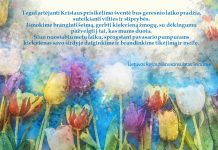 LR konsulato Seinuose sveikinimas