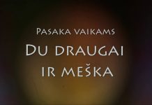 Pasaka vaikams. Du draugai ir meška