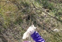 Jurgita Stankauskaitė. Žeme, alio!