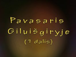 Pavasaris Giluišgiryje (1 dalis)