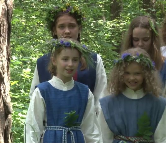 Augo putins su šermukšniu