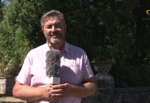 Šiemet Punsko dienų nebus!