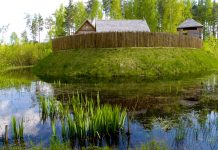 Sigitas Birgelis. Jotvingių ir prūsų gyvenvietė