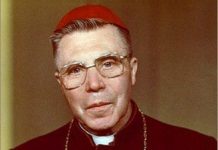 Z. Vaišvila. Patyčia iš Lietuvos tęsiasi