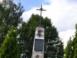 Apie Navinykų kryžių Lietuvos savanoriams atminti ir jo statytoją