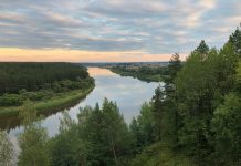Dainavos apygardos ir Pietų Lietuvos (Nemuno) srities partizanų vadai