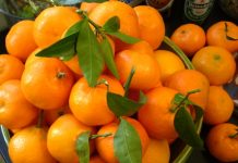 Kiek mandarinų galima suvalgyti per dieną?