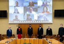 Į pirmą posėdį susirinko naujos kadencijos Seimo ir Pasaulio lietuvių bendruomenės komisija