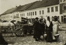 Jurgita Stankauskaitė. Utarnykas