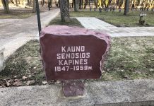 Kova už laisvę – 1956 metai