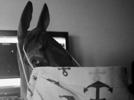 Jurgita Stankauskaitė. Vieni metai gyvenimo pandemijoje