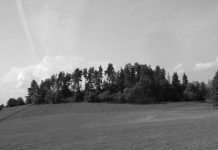 Lietuviškų ansamblių sąskrydžiai. Įspūdžiai iš 1939 m. sąskrydžio (2)