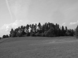 Lietuviškų ansamblių sąskrydžiai. Įspūdžiai iš 1939 m. sąskrydžio (2)