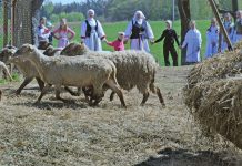 Jurgita Stankauskaitė. Švęsk šventes – Jurginės