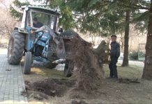 Tvarkoma Punsko valsčiaus aplinka