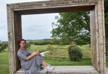 Mokytojo profesijos užkulisiai