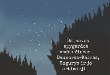 Paskutinis Dainavos apygardos partizanas