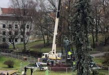 Nukelta Petro Cvirkos skulptūra bus perduota muziejui