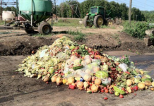 Ką daryti dėl maisto švaistymo?