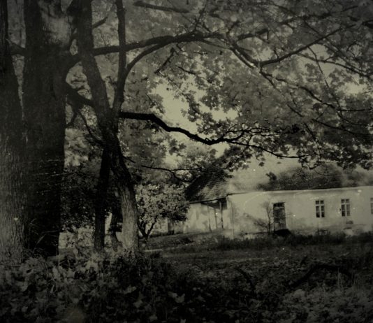 Pasakojimai apie Seivų dvarą (2 dalis)