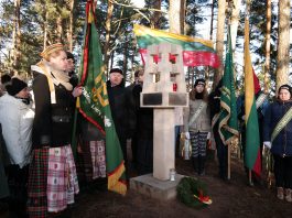 PUNSKO KRAŠTO VAIDMUO PARTIZANINIO JUDĖJIMO LAIKOTARPYJE