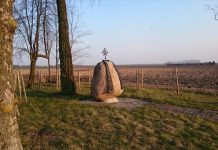Kun. Juozas Montvila. Lemtingų sprendimų sūkuryje