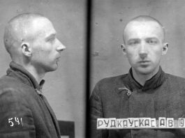 Sigitas Birgelis. Vytauto rinktinės 4-osios kuopos partizanai. Agentai ir provokatoriai (8)