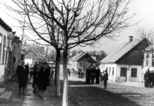 Sigitas Birgelis. Lietuvių siekiai prieštaravo Lenkijos komunistinės valdžios lūkesčiams (1 dalis)