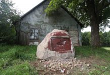 Sigitas Birgelis. Tarp įstatymo ir jo vykdymo kartais žioji praraja (2)