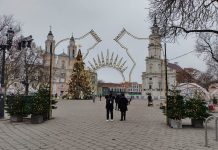 Artėja Kalėdos. Kauno eglutė