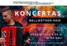 Bellwether man koncertas