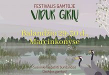 „Vidur girių“