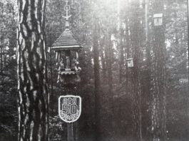 Dariaus ir Girėno paminklas Pščelnike (4 dalis)