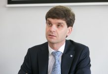 I. Vėgėlė. Kodėl puolamas Antrosios nepriklausomybės Dainius