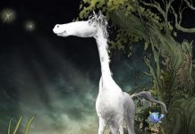 Kaip septintokai ieškojo stebuklingo brangakmenio