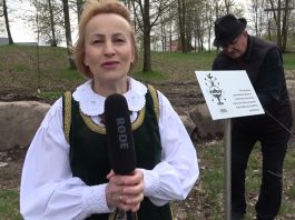 Ąžuolas LIETUVOS DAINŲ ŠVENTĖS 100-mečiui