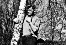 Gyvenimo pamokos pagal Paulių Širvį (II dalis)